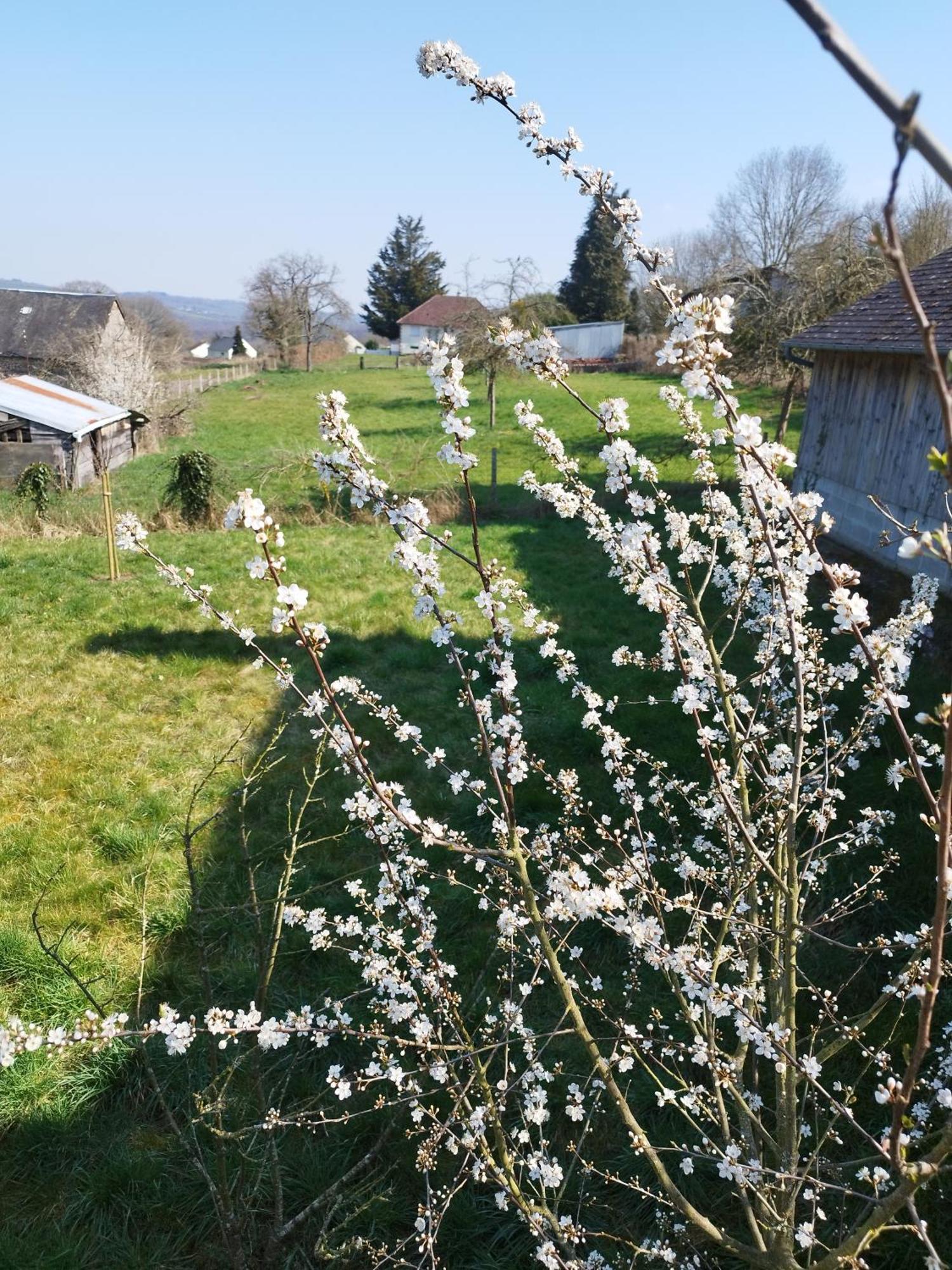 Des Roches Roche D'oetre Suisse Normande Saint-Philbert-sur-Orne